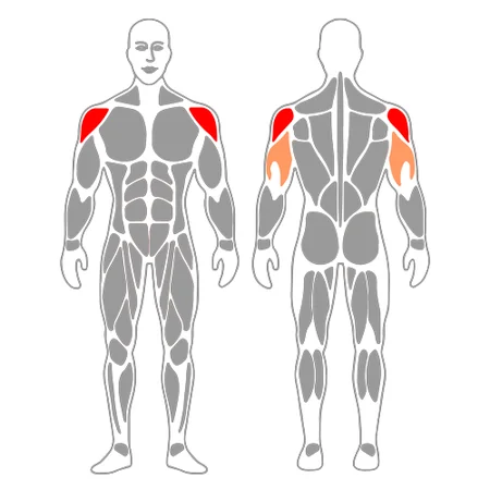 Press frontal de hombros en máquina sentado y agarre neutro