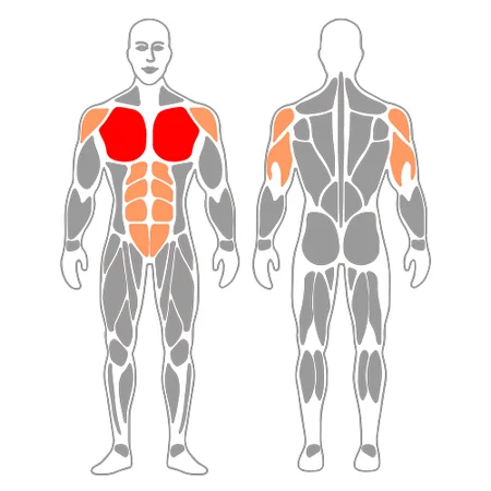 Press pectoral con mancuernas en banco inclinado