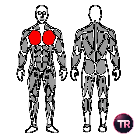 Press pectoral con mancuernas