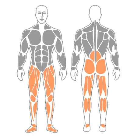 Bicicleta horizontal