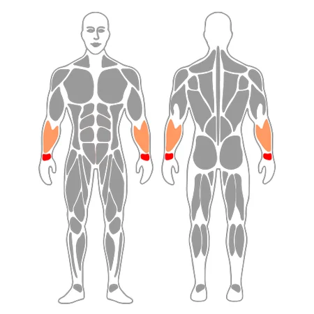 Pronación de  muñeca con banda elástica