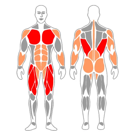 Burpee con mancuernas
