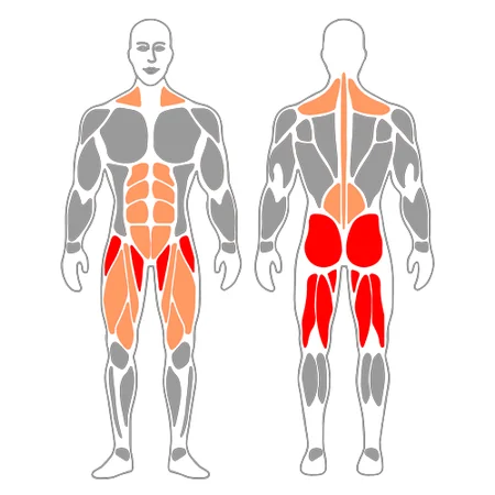 Puente de glúteos con mini banda elástica