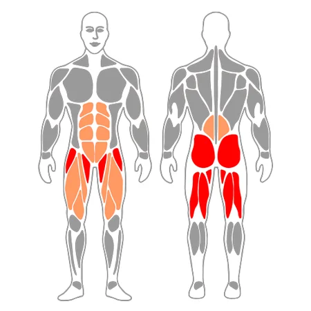 Puente sobre pelota de pilates