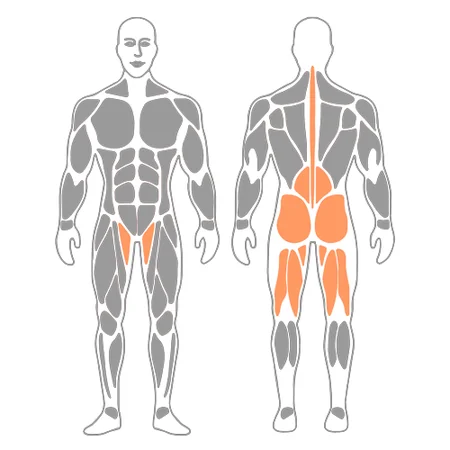 Puente con extensión de rodilla