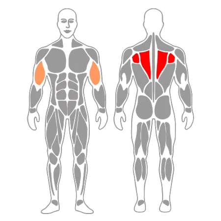 Remo alto en máquina hammer