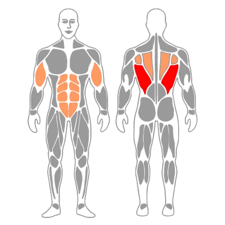 Remo con agarre cerrado sentado en máquina