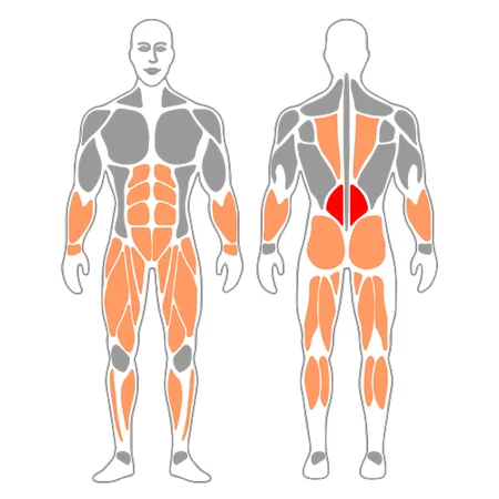 Remo con barra de pie