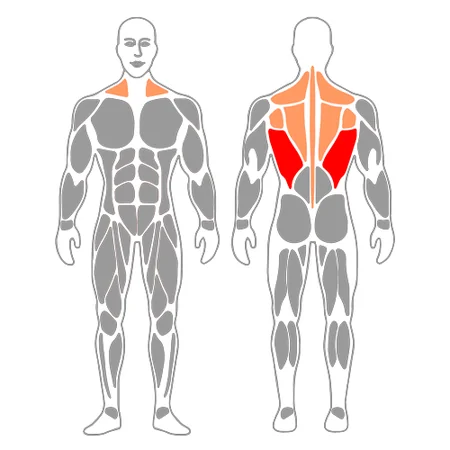 Remo horizontal sentado con polea