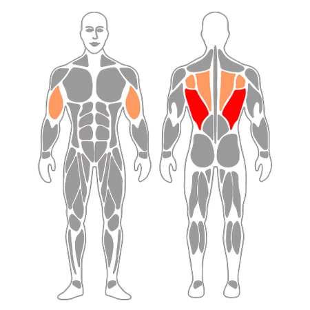Remo de pie con banda elástica