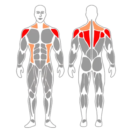 Retracción de hombros con banda elástica
