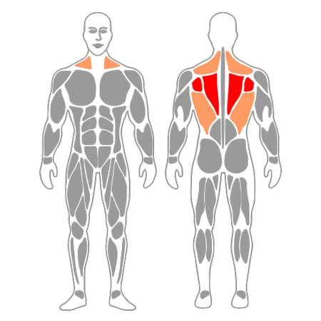 Retracción y protracción escapular en posición de plancha