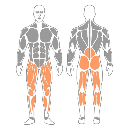 Elevación de rodillas o skipping