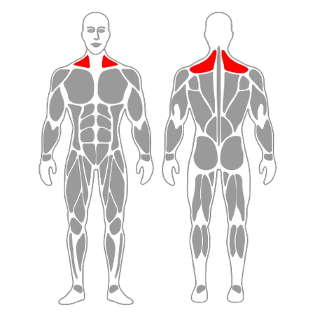 Rotación del cuello a la izquierda