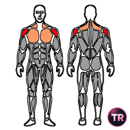 Shoulder rotation with dumbbells in 90º