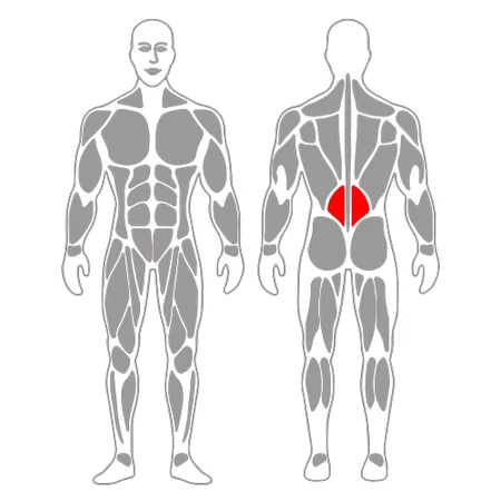Rotación lumbar con pelota de pilates