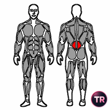 Rotation lower back with stability ball