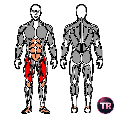 Squat eccentric single-leg