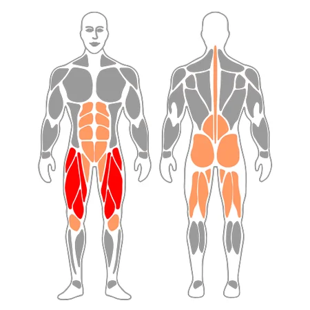 Sentadilla frontal con barra talones elevados