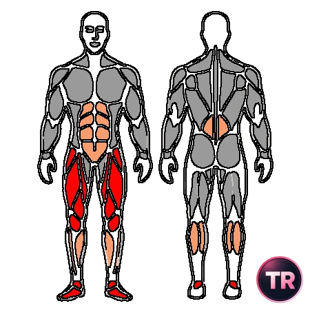 Half squat or squat with jump and barbell
