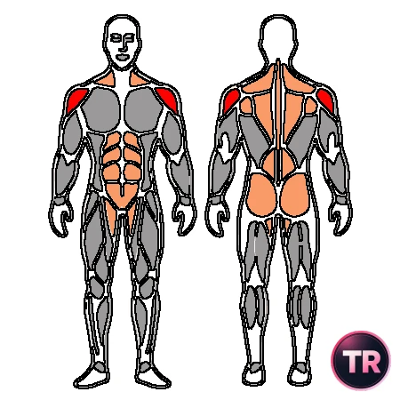 Exercise T or front raise of dumbbells on Swiss ball