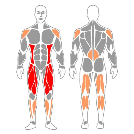 Tirón oblicuo con mancuerna o hachazo con mancuerna