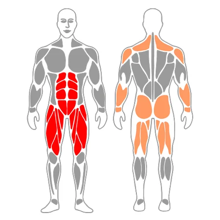 Elevación total de piernas estiradas en suspensión