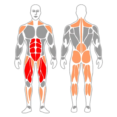 Tirón frontal con mancuerna