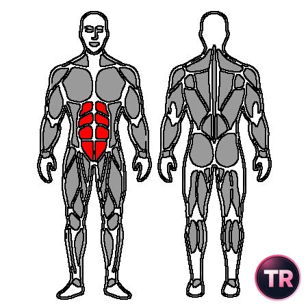 Contracción abdominal profunda con elevación de una pierna