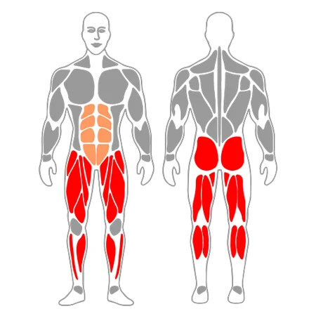 Zancada alta apoyando la otra pierna en banco