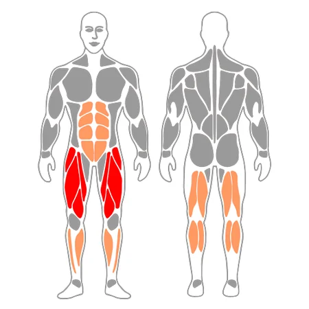 Zancada con la otra pierna elevada o sentadilla bulgara