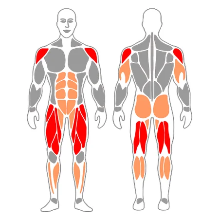 Zancada y extensión de hombros con barra