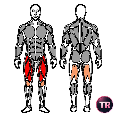 Contraction isometric of quadriceps