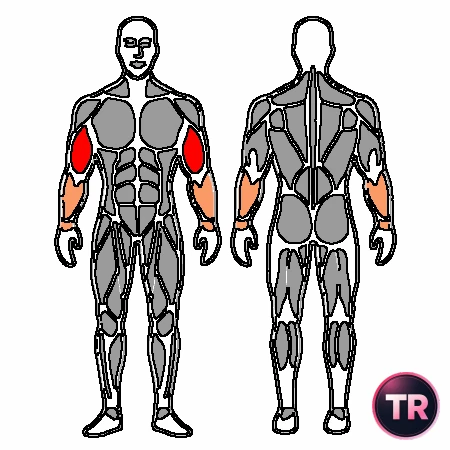 Biceps curl eccentric assisted with resistance band