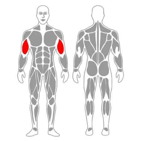 Curl de biceps con giro en maquina