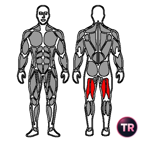 Curl femoral a una pierna con máquina