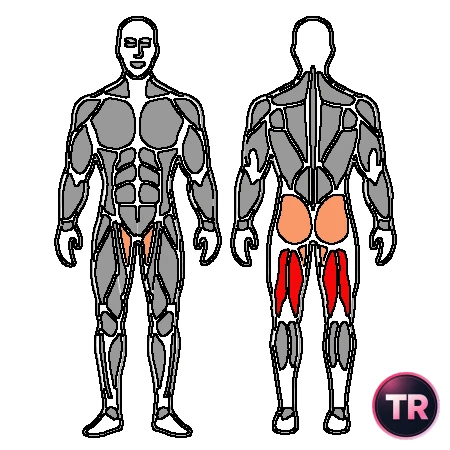 Curl femoral con máquina declinada