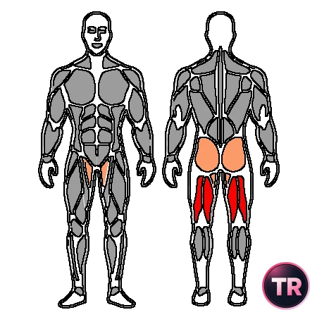 Curl femoral con máquina