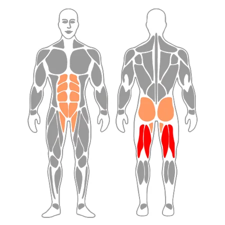 Curl femoral con pelota de pilates