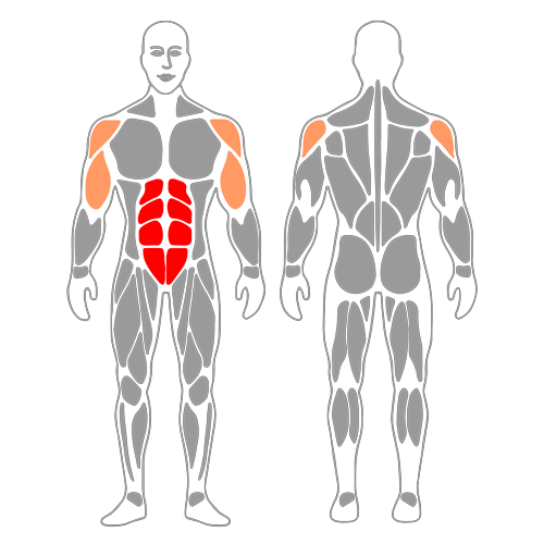 Abdominales con roller