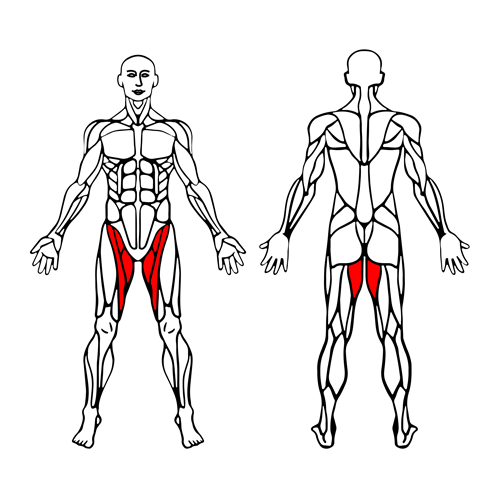 Aductores excentrico