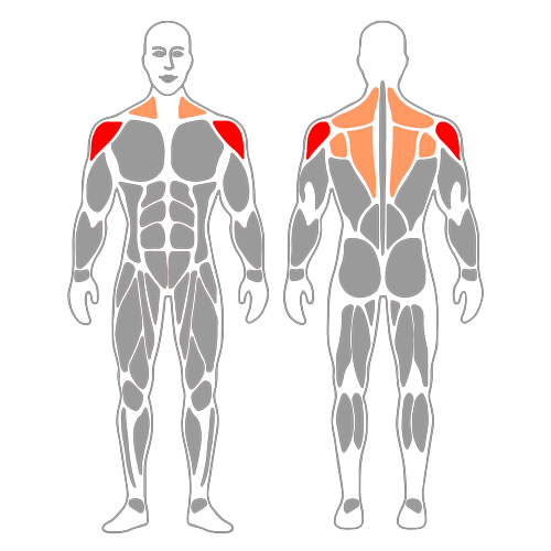 Aperturas de hombros con banda elástica agarre prono
