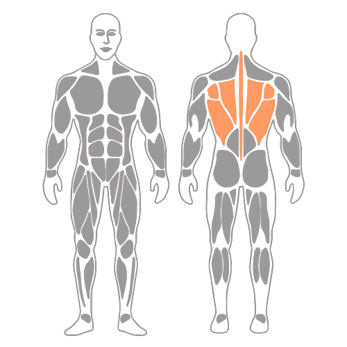 Automasaje de la columna torácica