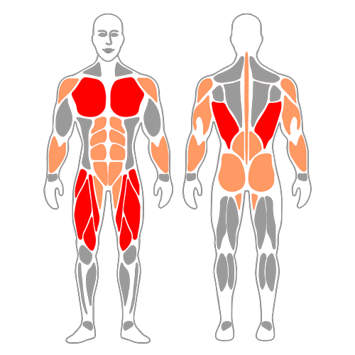 Burpee con mancuernas