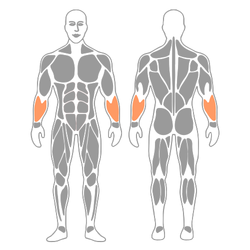 Cincha para antebrazo