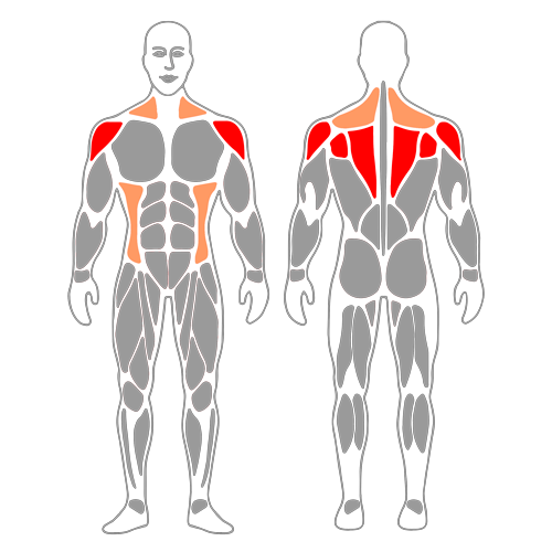 Control escapular con flexión de hombro
