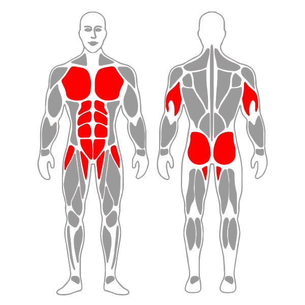 Dead bug o Bicho muerto