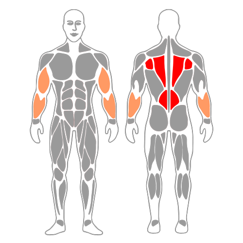 Dominadas de pie en maquina asistida
