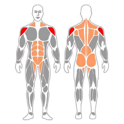 Ejercicio I o Elevación frontal de mancuernas sobre pelota suiza