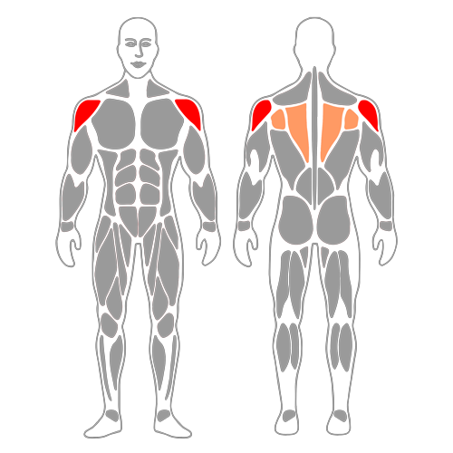 Elevación de hombro atrás
